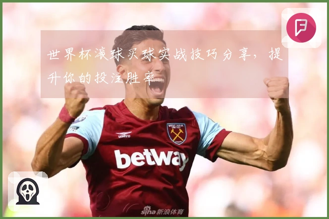 世界杯滚球买球实战技巧分享，提升你的投注胜率