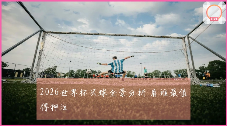 2026世界杯买球全景分析 看谁最值得押注