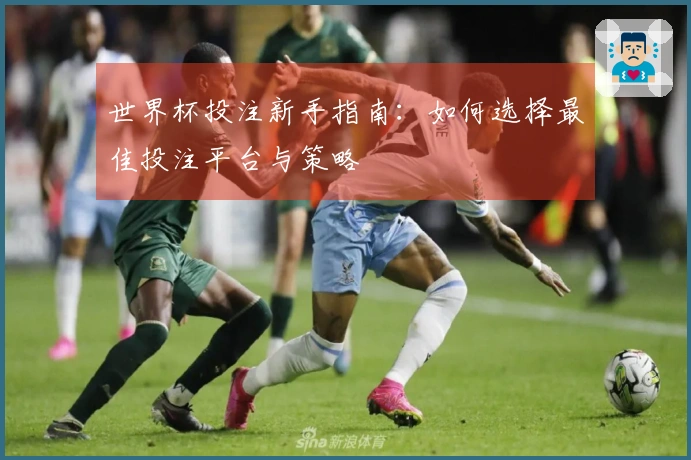 世界杯投注新手指南：如何选择最佳投注平台与策略