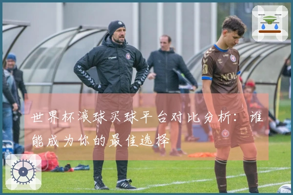 世界杯滚球买球平台对比分析：谁能成为你的最佳选择