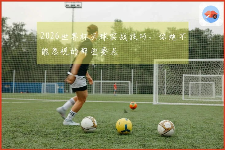 2026世界杯买球实战技巧，你绝不能忽视的那些要点