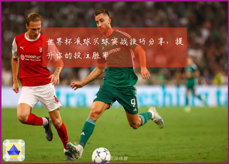 世界杯滚球买球实战技巧分享，提升你的投注胜率