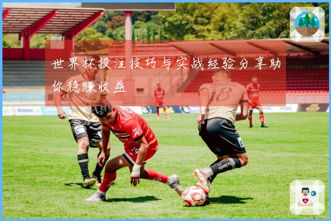 世界杯投注技巧与实战经验分享助你稳赚收益