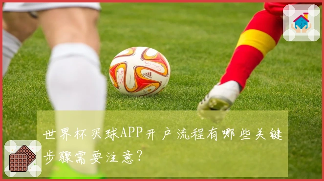 世界杯买球APP开户流程有哪些关键步骤需要注意？