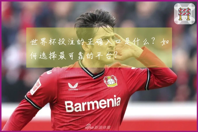 世界杯投注的正确入口是什么？如何选择最可靠的平台？