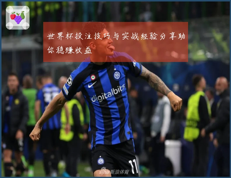 世界杯投注技巧与实战经验分享助你稳赚收益