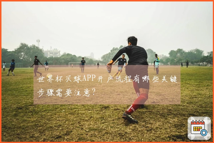世界杯买球APP开户流程有哪些关键步骤需要注意？