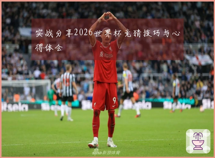 实战分享2026世界杯竞猜技巧与心得体会