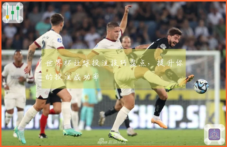 世界杯让球投注技巧盘点，提升你的投注成功率