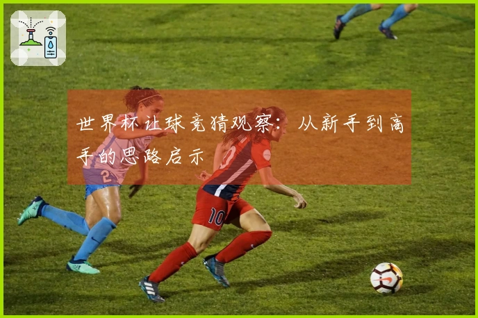 世界杯让球竞猜观察：从新手到高手的思路启示