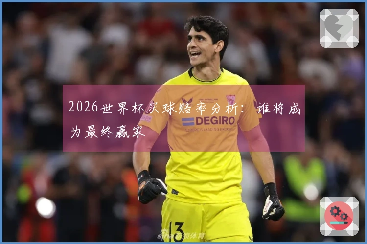 2026世界杯买球赔率分析：谁将成为最终赢家