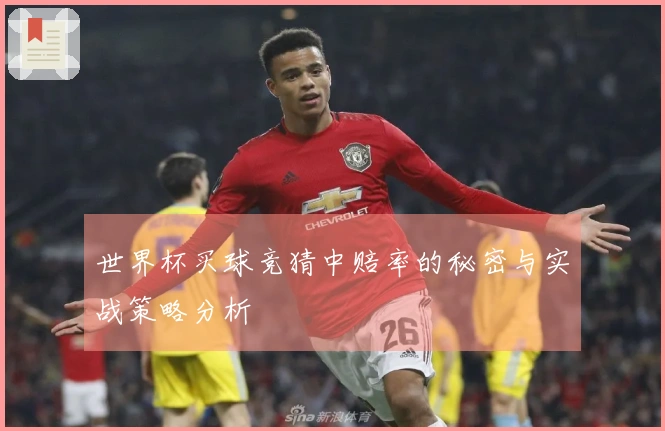 世界杯买球竞猜中赔率的秘密与实战策略分析