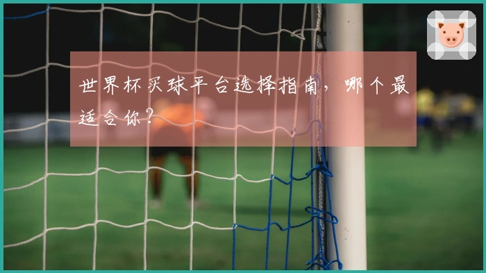 世界杯买球平台选择指南，哪个最适合你？