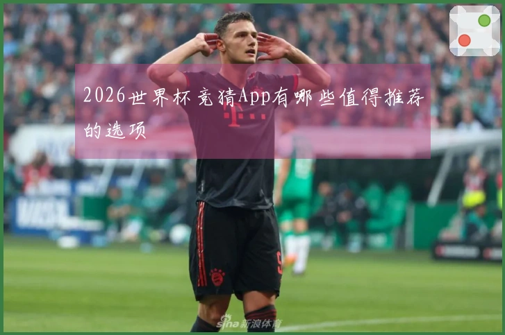 2026世界杯竞猜App有哪些值得推荐的选项