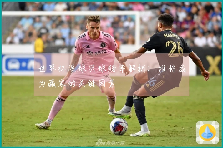 世界杯滚球买球赔率解析：谁将成为赢家的关键因素