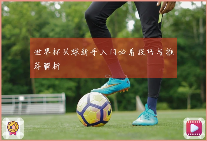 世界杯买球新手入门必看技巧与推荐解析