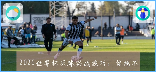 2026世界杯买球实战技巧，你绝不能忽视的那些要点