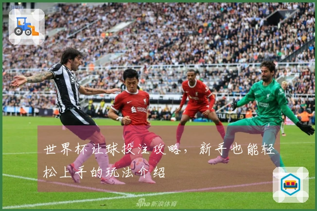 世界杯让球投注攻略，新手也能轻松上手的玩法介绍