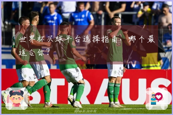 世界杯买球平台选择指南，哪个最适合你？