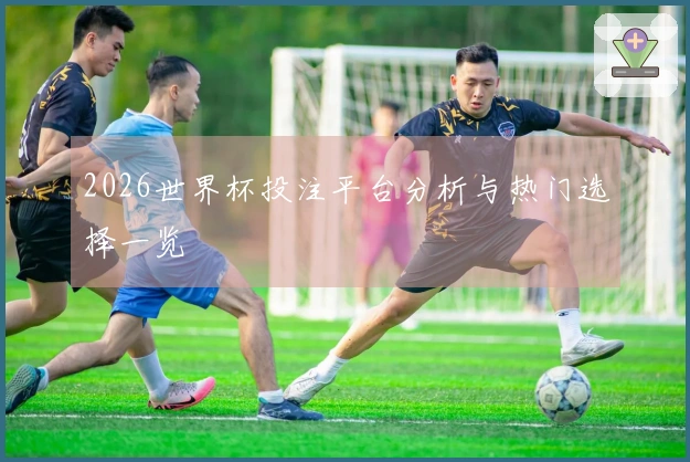 2026世界杯投注平台分析与热门选择一览